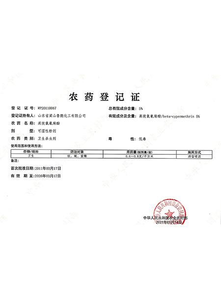 山东鲁鹏化工有限公司